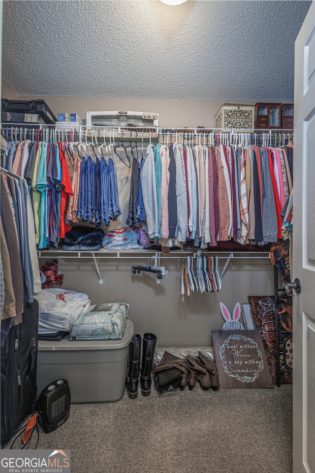 spacious closet featuring carpet flooring