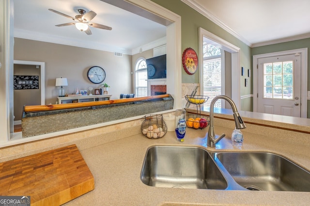 kitchen with crown molding, sink, and ceiling fan