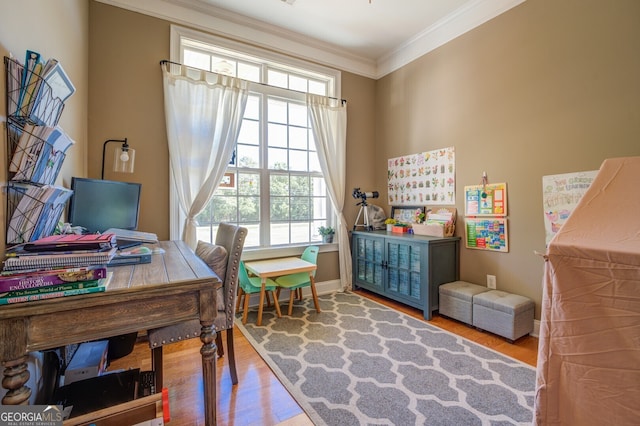 office space featuring a healthy amount of sunlight, crown molding, and hardwood / wood-style flooring