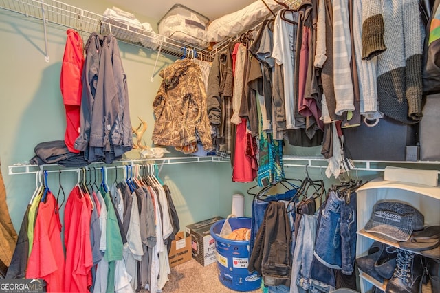 walk in closet featuring carpet floors