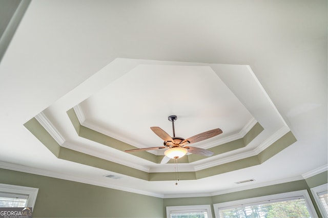 room details with ceiling fan, a raised ceiling, and ornamental molding