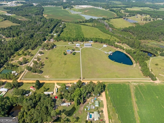 375 Dasher St, Lyons, GA 30436 - drone / aerial view with a water view and a rural view