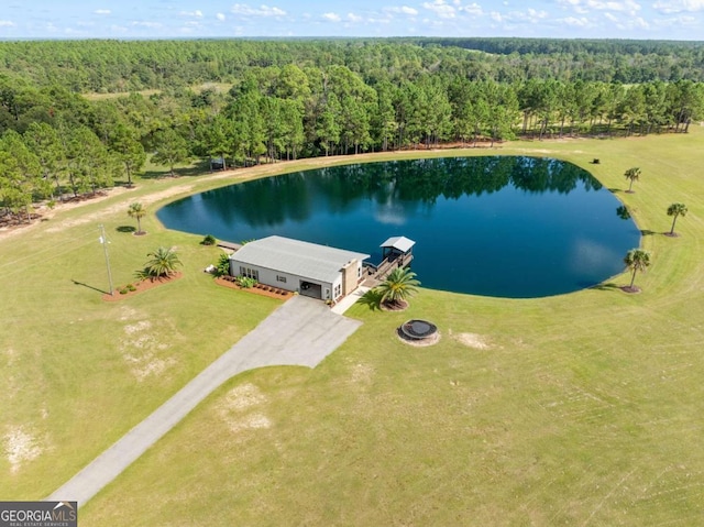 375 Dasher St, Lyons, GA 30436 - aerial view with a wooded view and a water view