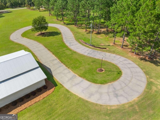 view of community featuring a yard