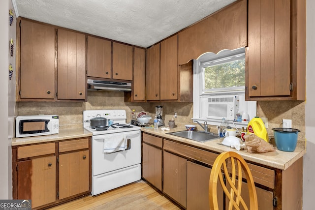 kitchen featuring backsplash, sink, light wood-type flooring, and white appliances