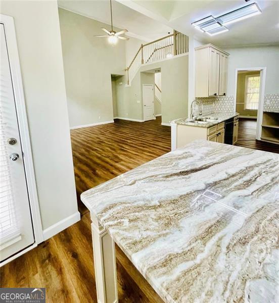 kitchen with a sink, light stone countertops, and dark wood finished floors