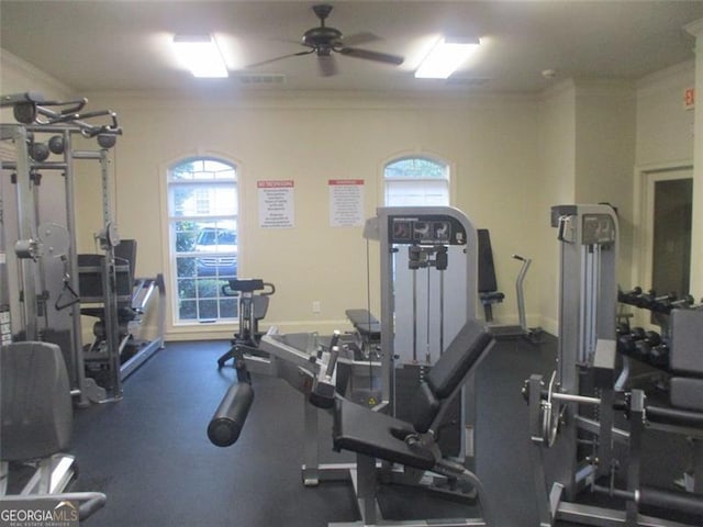 workout area featuring ceiling fan and crown molding