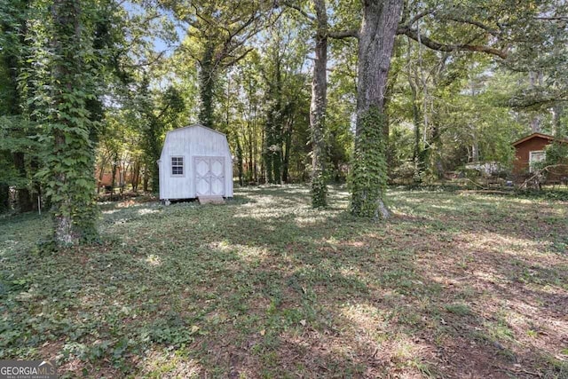 view of yard with a storage unit and an outdoor structure