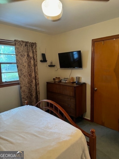 bedroom featuring carpet flooring