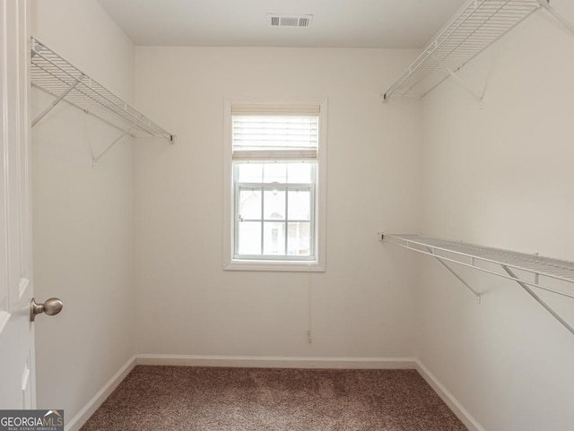 walk in closet with carpet and visible vents