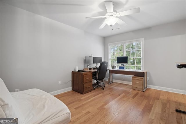 office space featuring ceiling fan and light hardwood / wood-style flooring