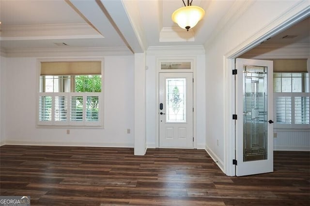 foyer entrance with a tray ceiling, dark hardwood / wood-style flooring, a healthy amount of sunlight, and ornamental molding