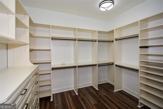 spacious closet with dark hardwood / wood-style floors