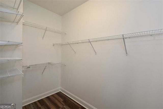 walk in closet with dark hardwood / wood-style flooring