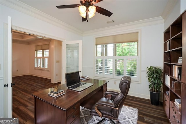 office featuring ceiling fan, dark hardwood / wood-style flooring, and ornamental molding