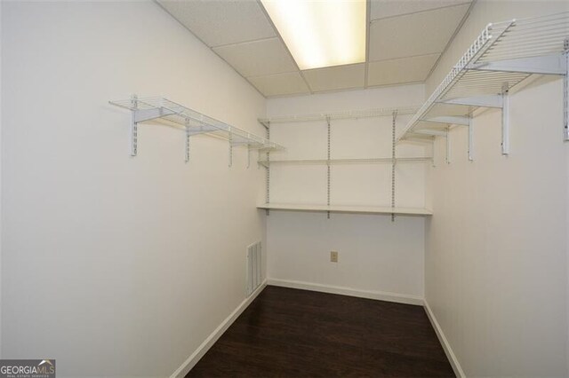 spacious closet with dark hardwood / wood-style floors