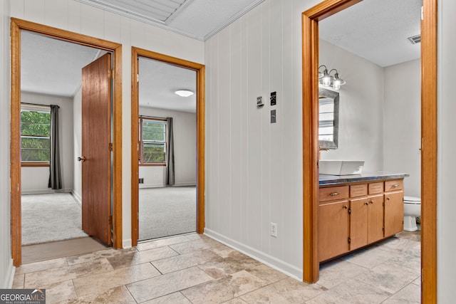 hall with a wealth of natural light, light carpet, and a textured ceiling