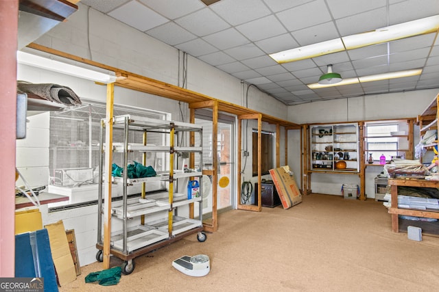 basement featuring carpet flooring and a drop ceiling