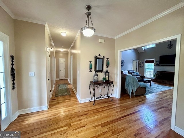 hallway featuring crown molding and light hardwood / wood-style flooring