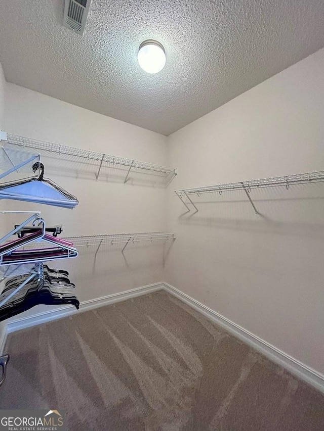 spacious closet with carpet flooring