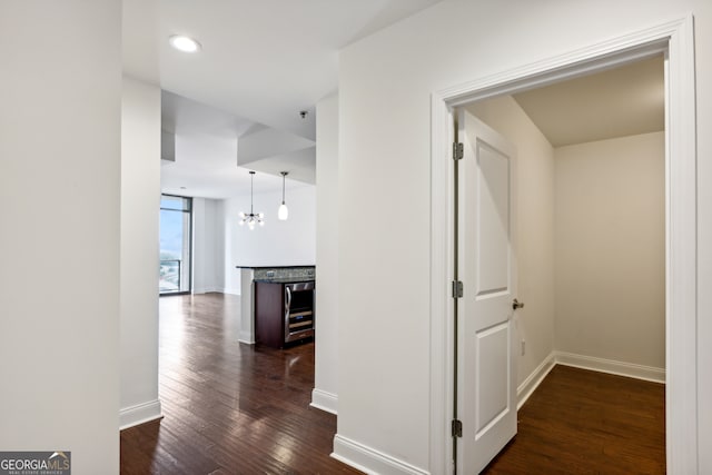 corridor with beverage cooler, dark hardwood / wood-style floors, and a chandelier