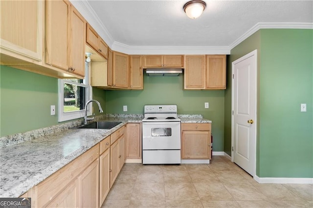 kitchen featuring ornamental molding, light brown cabinetry, white range with electric cooktop, and sink