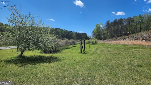 view of yard