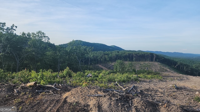 property view of mountains