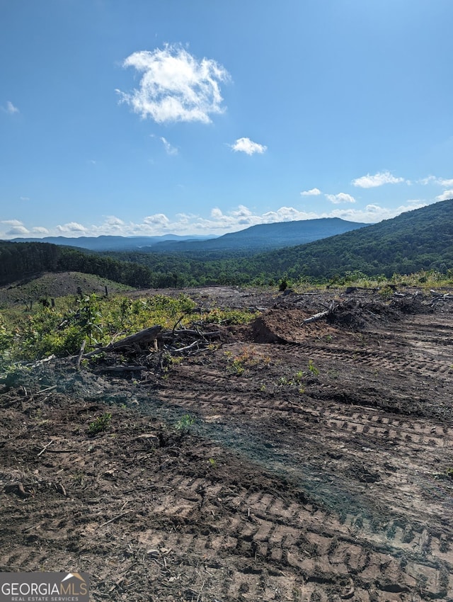 view of mountain feature