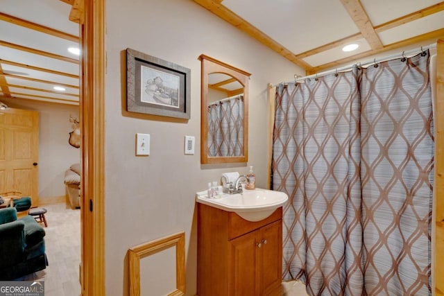 bathroom featuring wood-type flooring and vanity