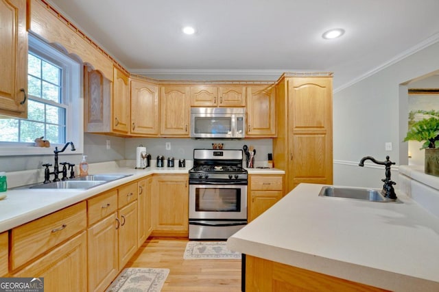 kitchen with light hardwood / wood-style floors, ornamental molding, stainless steel appliances, and sink