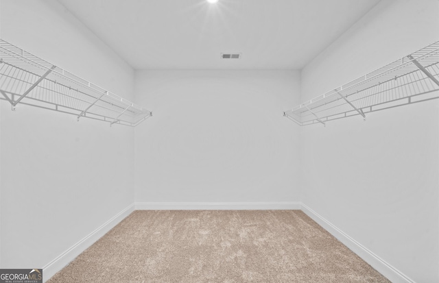 spacious closet with carpet