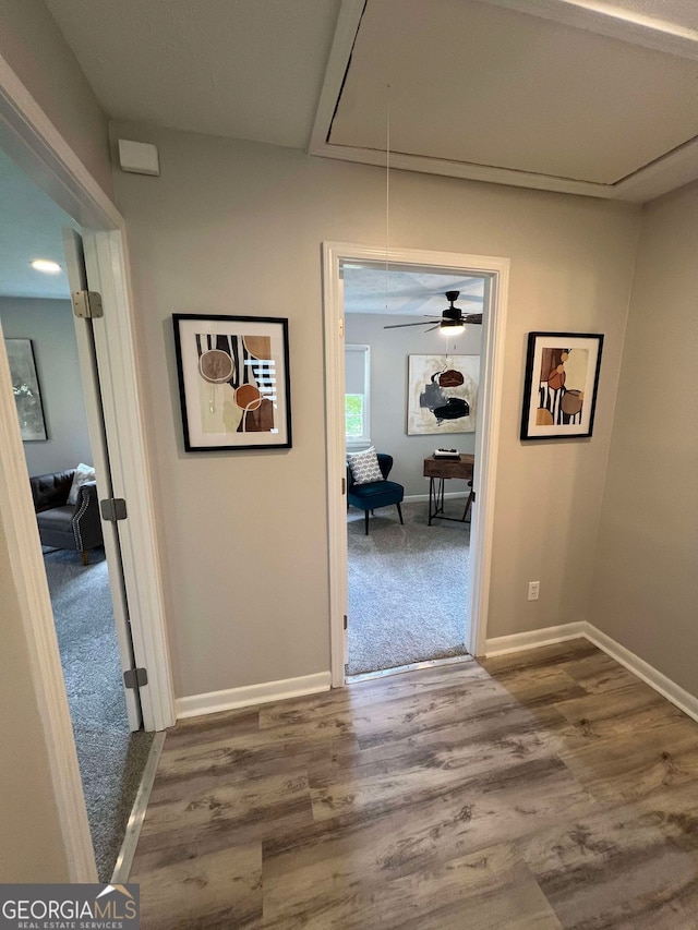 office space with a wealth of natural light, ceiling fan, carpet flooring, and a textured ceiling