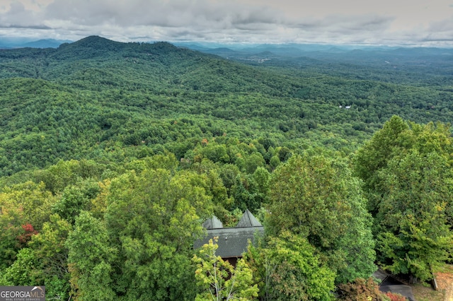 birds eye view of property featuring a mountain view