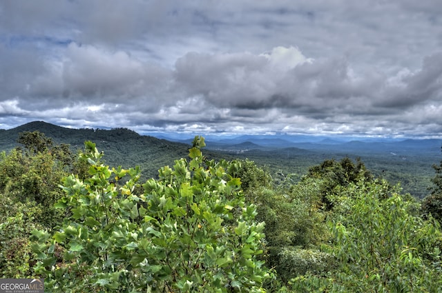 property view of mountains