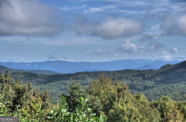 property view of mountains