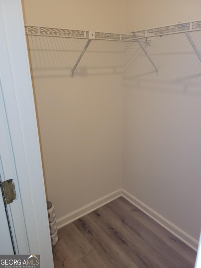 spacious closet featuring dark hardwood / wood-style floors