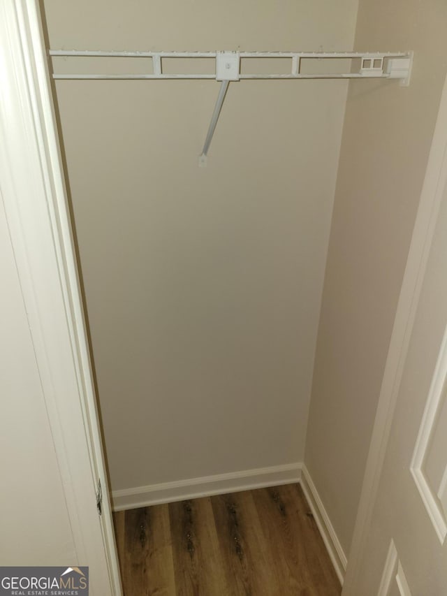 walk in closet with wood-type flooring