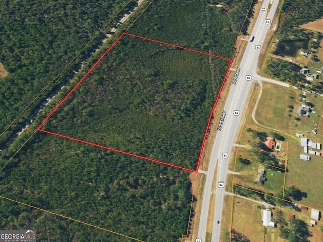 5975 Valdosta Hwy, Manor GA, 31550 land for sale