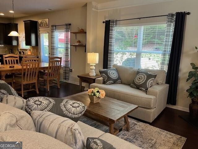 living room with dark hardwood / wood-style floors and a wealth of natural light