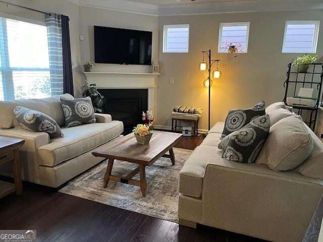 living room featuring crown molding and dark wood-type flooring