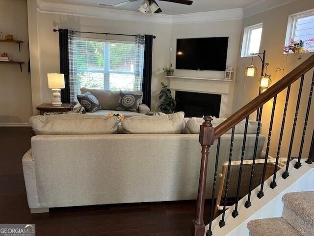 living room with dark hardwood / wood-style flooring, plenty of natural light, crown molding, and ceiling fan