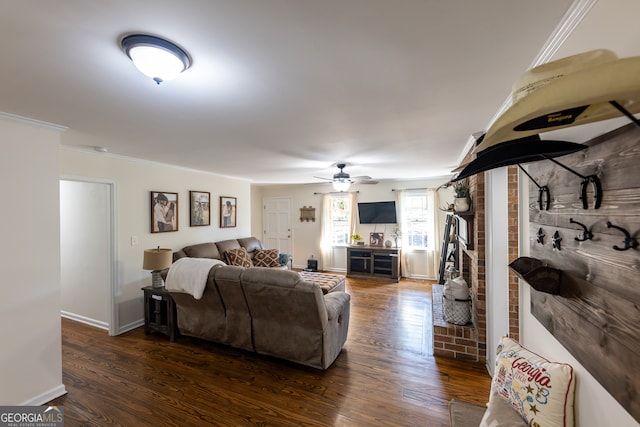 living room with ceiling fan, crown molding, and dark wood-type flooring