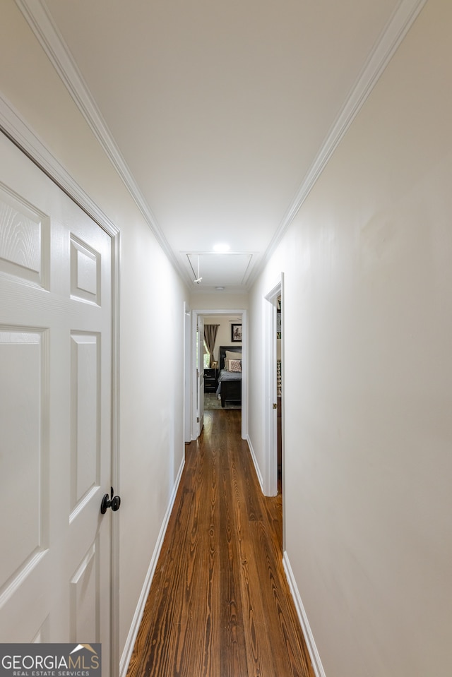 hall with crown molding and dark wood-type flooring