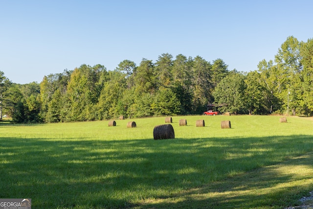 view of home's community with a yard