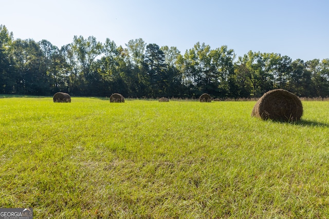 view of yard featuring a rural view