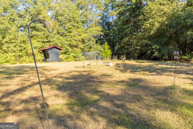 view of yard with a shed