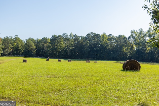 view of yard with a rural view