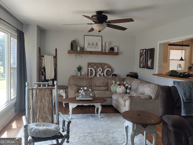 living room with ceiling fan and hardwood / wood-style floors