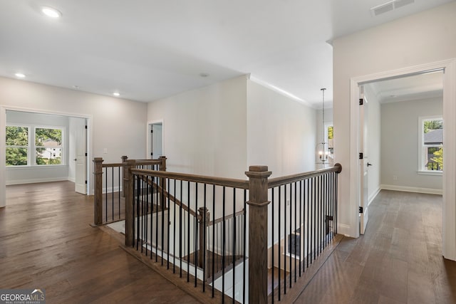 corridor featuring ornamental molding and dark wood-type flooring